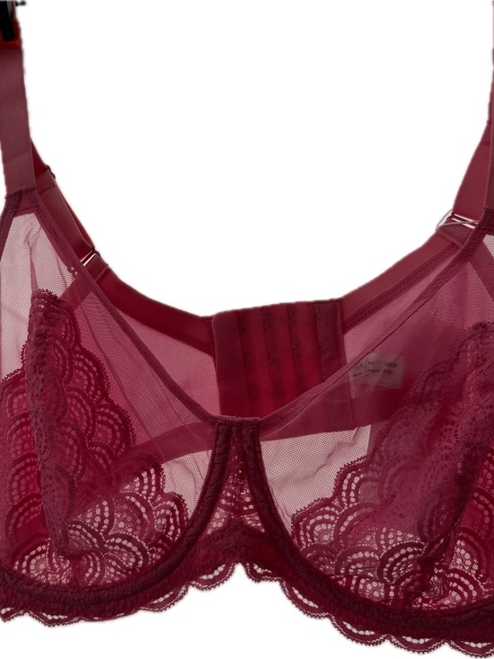 Hsia Other - Sheer Lace Underwire Bra in Burgundy
